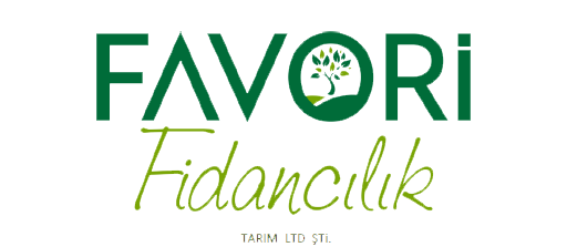 Favori Fidanclk
